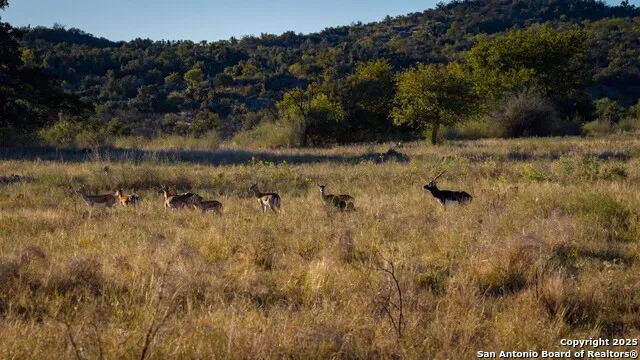 7702 ranch road 965 Llano, TX 78643